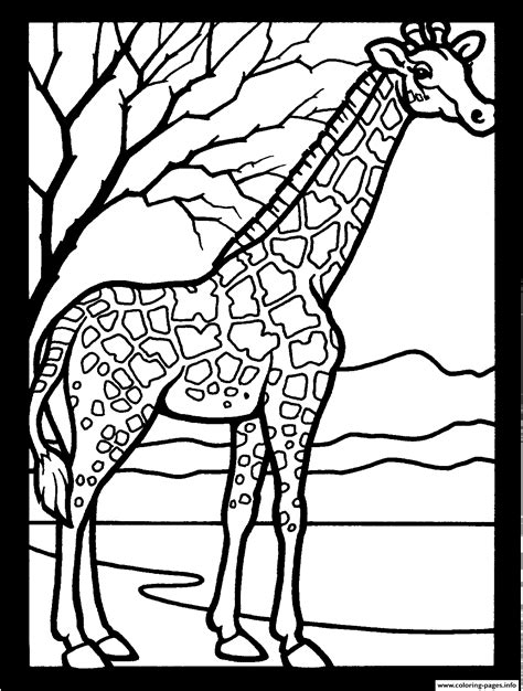 Free African Giraffe Animal Ssec26 Coloring Page Printable