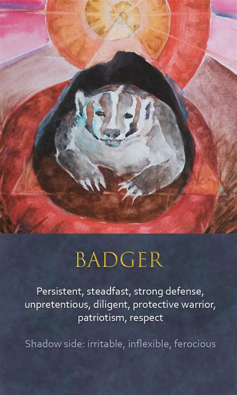 Badger Symbolism Meaning Artofit