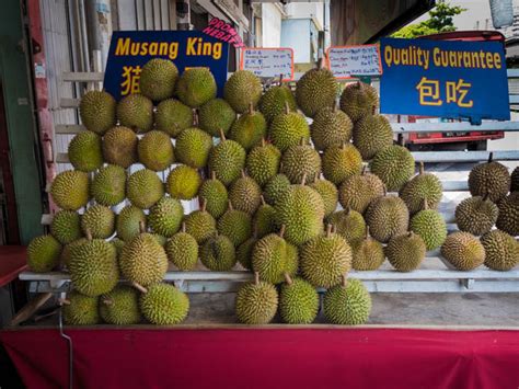 Hello all, may i know if now is the season for durians? The Essential Guide to Must-try Food in Penang - The ...