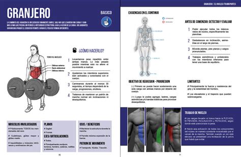 Manual De Fuerza Anatomia Y Entrenamiento Completo Con