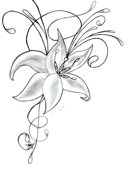 35 Trends For Easy Calla Lily Flower Drawing Creative Things Thursday