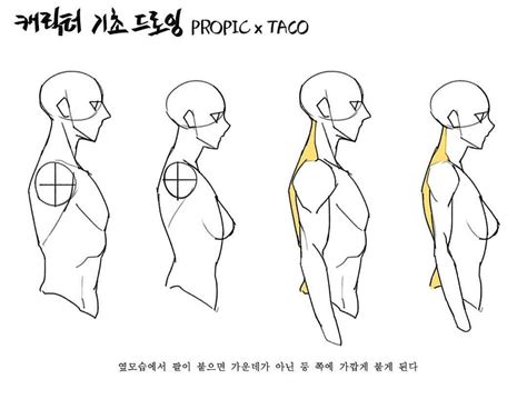 Tips On Drawing Male And Female Side Profiles Credit Taco1704 Support