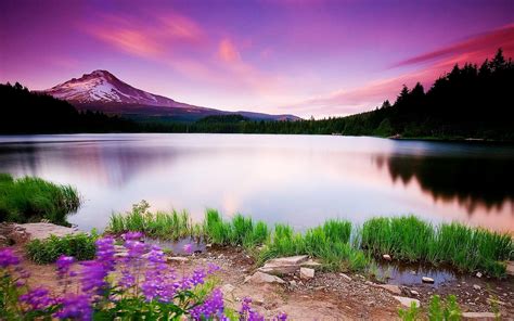 Flowers And Lakes Wallpapers Top Free Flowers And Lakes Backgrounds