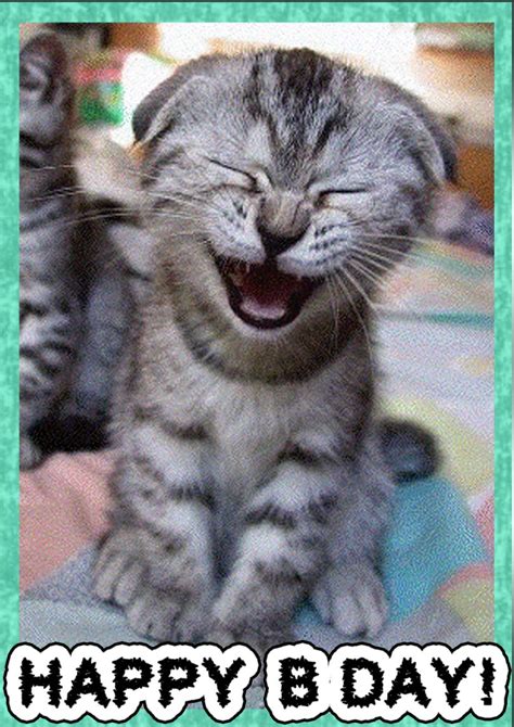 Birthdays are never complete until you've sent happy birthday wishes to a friend or to any other birthday gal or boy! Cat Birthday Card | Free printable birthday cards ...