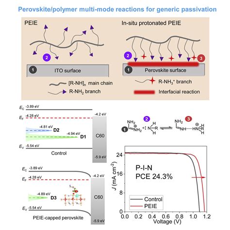 Researchers Unveil Multi Mode Reactions In Perovskite Solar Cells