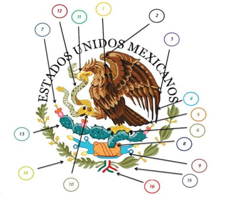 Nombres De Las Partes Del Escudo Nacional De México Escudo De México