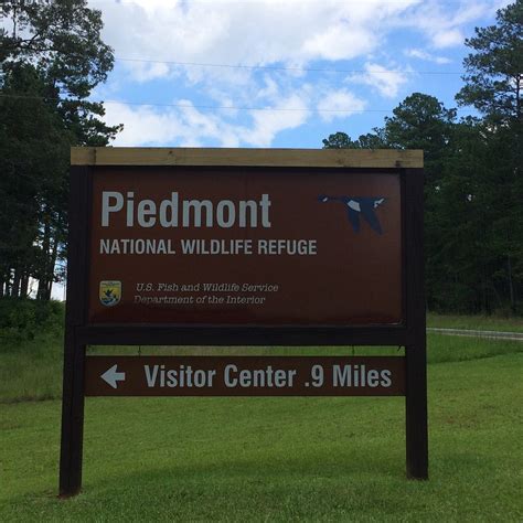 Piedmont National Wildlife Refuge Juliette 2021 Alles Wat U Moet