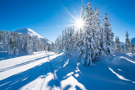 Sunny Winter Landscape Free Photo On Barnimages
