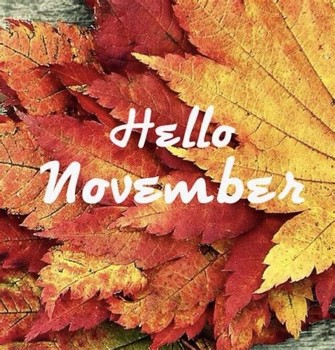 Hello November | Hello november, Hello april, November