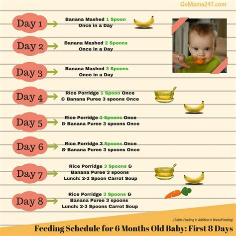 1/2 to 3/4 cup vegetables. Food Chart for 6 Months Old Baby | GoMama247