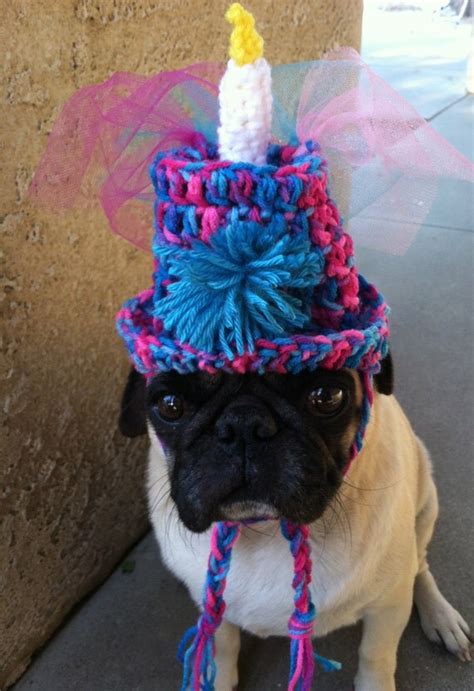 Items Similar To Hats For Pugs Birthday Birthday Hat Hats For Dogs Dog
