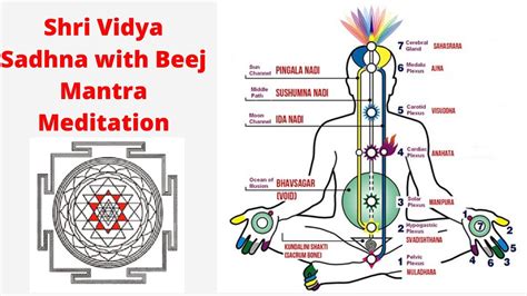 Shri Vidya Beej Mantra Meditation Chakra S Activation Achieve