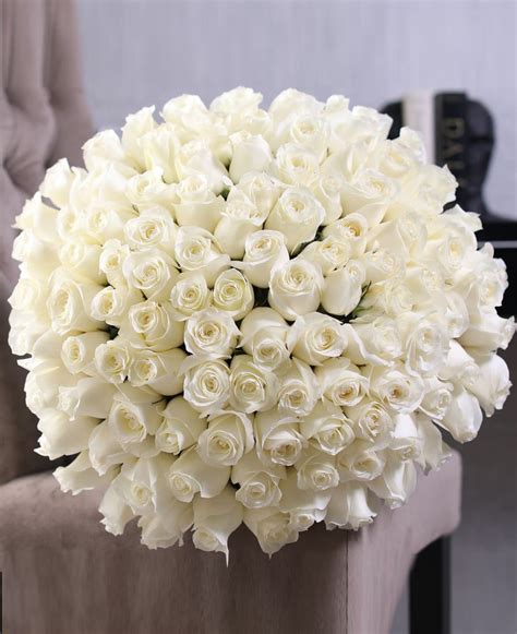 100 White Roses Bouquet By Luxury Flowers Miami