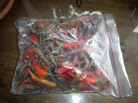 Chilli Pepper Heaven How To Preserve Chilli Peppers