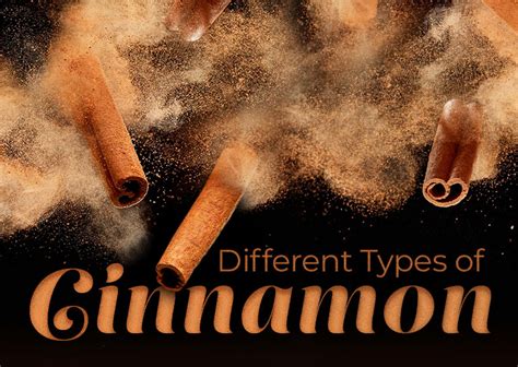 Types Of Cinnamon Explained Flavors Freshness And More