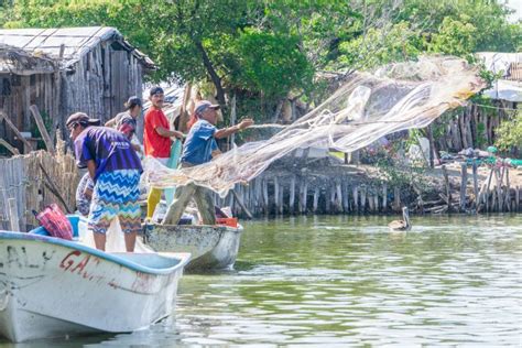 Publican Lineamientos Del Programa De Pesca Y Acuacultura Prensa Animal