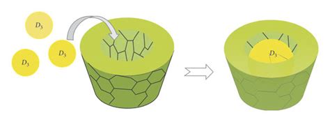 Schematic Representation Of The “guest Host” Inclusion Complex