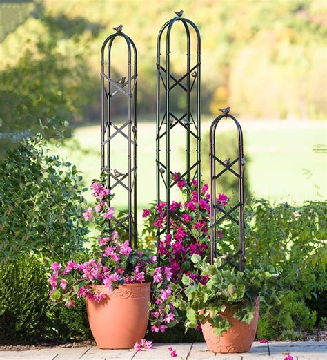 Buy metal garden trellises and get the best deals at the lowest prices on ebay! Use this attractive Metal Garden Obelisk to support ...