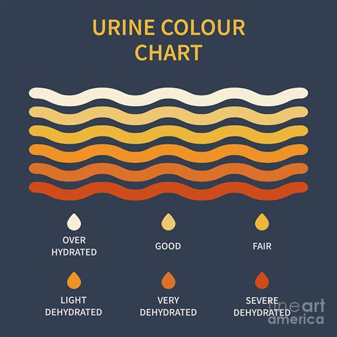 Urine Colour Chart Photograph By Art Stock Science Photo Library Fine Art America