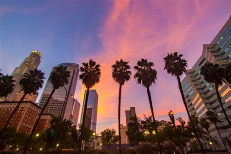 Skyscrapers And Palm Trees Near Pershing Square At Sunset Rlosangeles