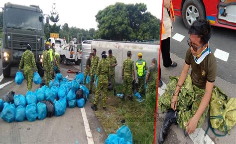 Rise of the undead legion english; PKP: Lori Bawa Bantuan Keperluan Asas Terbalik Di Keningau ...