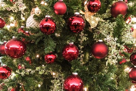 Free Stock Photo Of Closeup Of Red Ball Ornaments On Christmas Tree