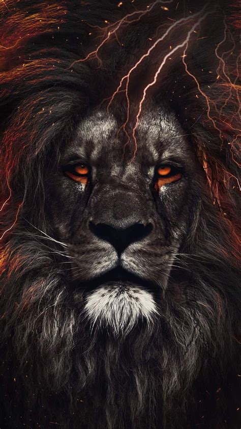 1080p Free Download Leo Lion Lions Hd Phone Wallpaper Peakpx