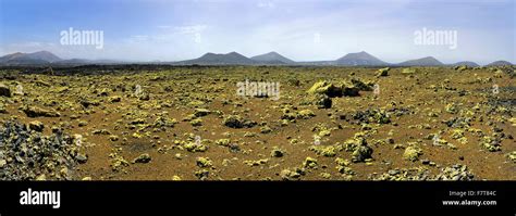 Caldera Colorada Moss Covered Lava Rock Volcanic Mountains Mancha