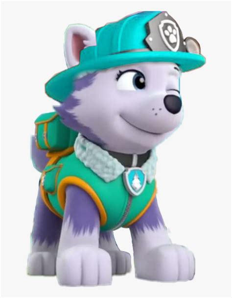 Paw Clipart Paw Patrol Everest Paw Patrol Costume Diy Hd Png Download 640x480594654 Pngfind