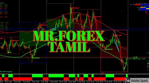 Forex Live Trading Youtube