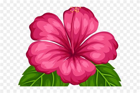 Download Moana Png, Transparent Png - 640x480(#6184042) - PngFind