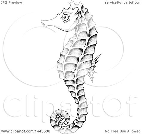 Clipart Of A Black And White Sea Horse With No White Fill