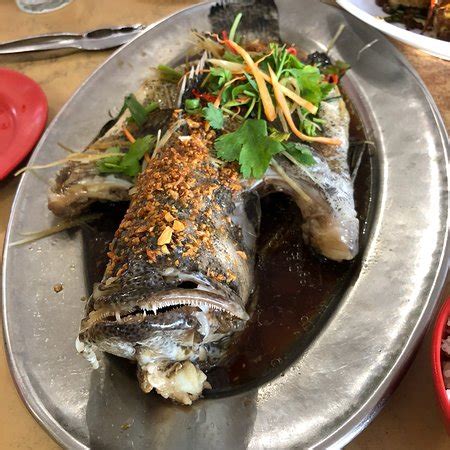 One of the best places to come to try some seafood is the waterfront which is covered in seafood restaurants and you can choose from large tanks that are filled with the latest. Luyang Seafood Restaurant, Kota Kinabalu - Restaurant ...