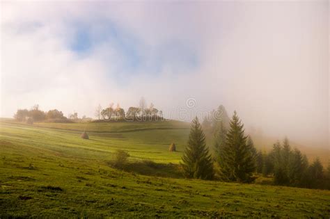 Mist At Dawn Over The Pasture In The Carpathian Mountains Stock Image