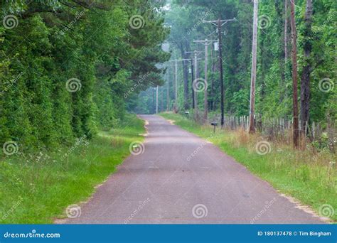 Paved Country Road Through The Forest Stock Photo Image Of Paved