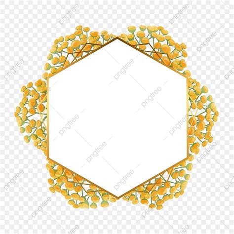 Gambar Sempadan Polygon Bunga Bunga Chrysanthemum Ai Ju Bunga