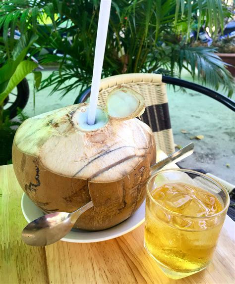 Fresh Coconut Water Delicious Vietnam