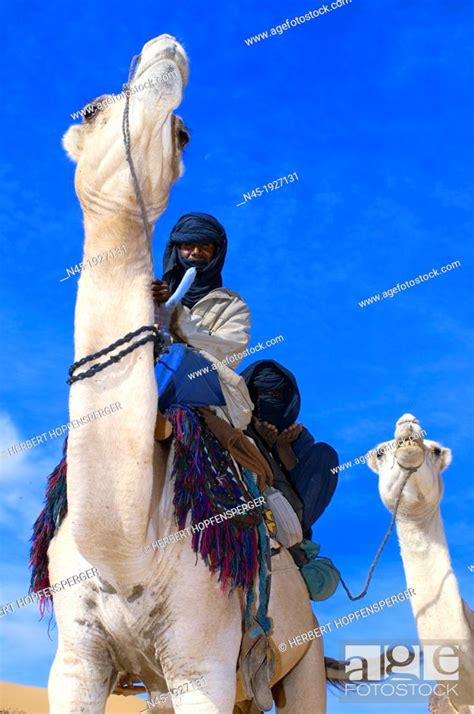 Tuaregs Riding Camels Libyan Arab Jamahiriya Libyan Desert Stock Photo Picture And Rights