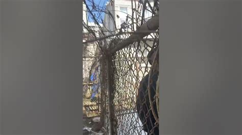 GangStalkers @ the abandon house next door - YouTube