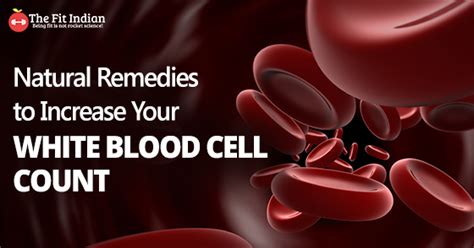 13 Nourishing Natural Remedies To Increase Your White Blood Cell Count