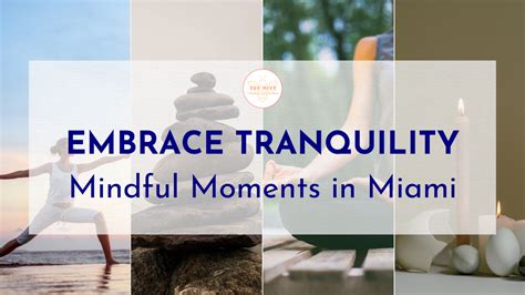 embrace tranquility – mindful moments in miami - 305 Hive