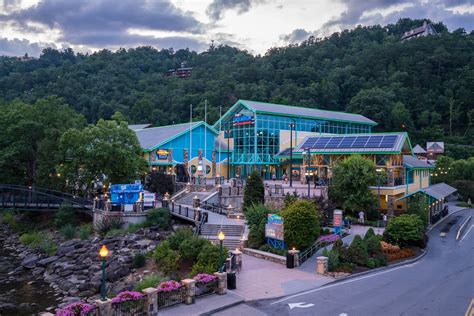 Top 10 Things To Do In Gatlinburg And Pigeon Forge Kids Edition