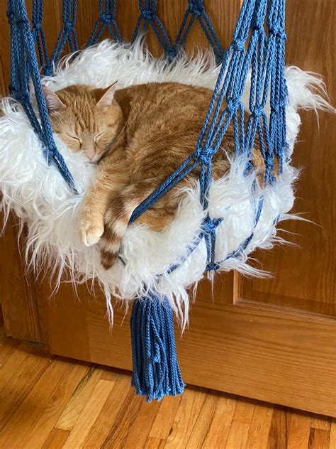 Handmade Macrame Cat Hammock Bed Hanging Cat Bed T For Etsy