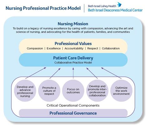 Nursing Mission And Professional Practice Model Bidmc Of Boston