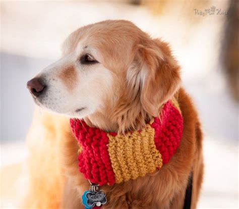 Knit Dog Scarf ~ Clothes For Dogs ~ Dog Cowl Scarf ~ Harry Potter ~ Dog