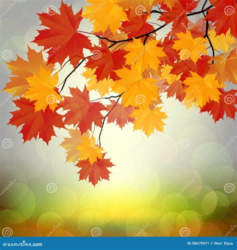 Autumn Leaves Blur Background Stock Vector Illustration Of Backdrop
