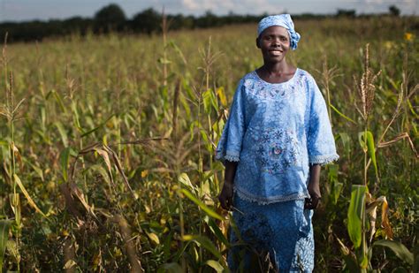 All information are kept updated. Supporting Zambian women in business - Self Help Africa USA
