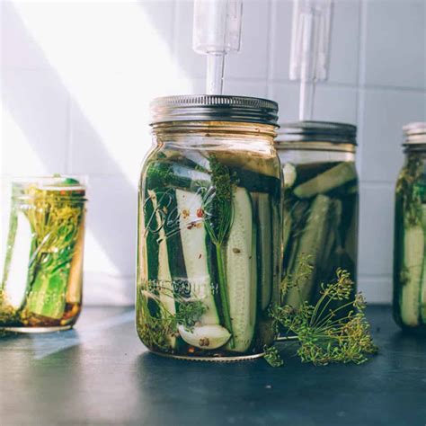 Fermented Cucumber Dill Pickles Recipe Cart