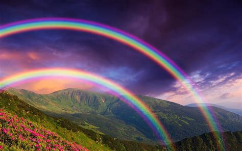Rainbow Rain Wallpaper