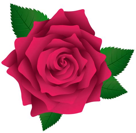 Bem Fácil PNG : Rosas e Botões png image